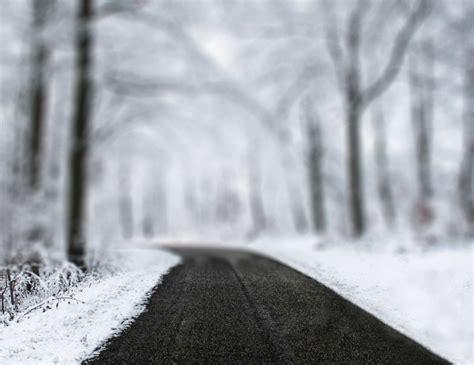 Winter Forest Editing Cb Picsart Background Hd Download Cbeditz