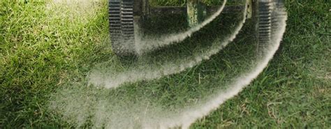When to fertilize your veggie garden. How To Fertilize Your Lawn? - The Housing Forum