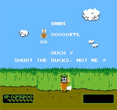 Laughing Dog  Duck Hunt
