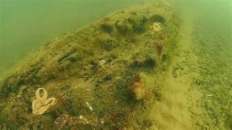 Ancient Underwater Forest Discovered Off Norfolk Coast