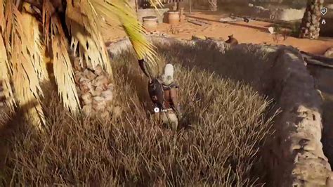 Assassin S Creed Origins Papyrus Puzzles Fertile Lands YouTube