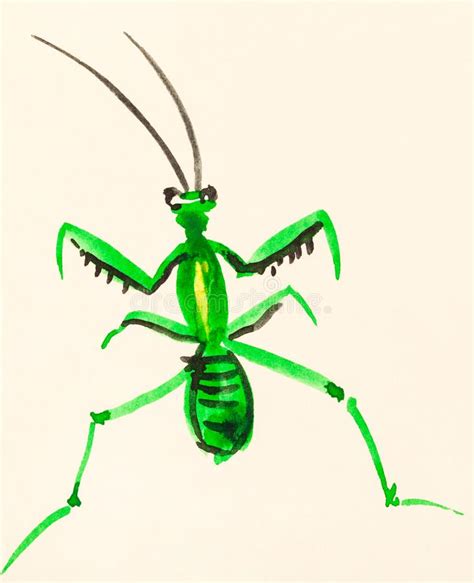 Mantis Painted Cartoon Character Vector Illustration
