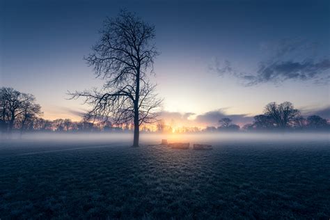 Early Morning Autumn Sunrise Hd Nature 4k Wallpapers