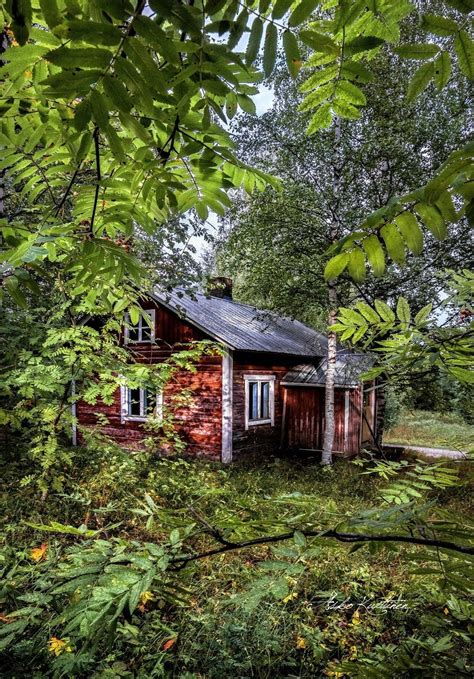 🇫🇮 Summer Finland By Asko Kuittinen 🌿 Forest Cottage Cottage In