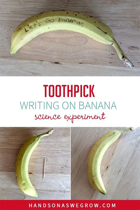 Simple Banana Messages Science Experiment For Kids In 2021 Science