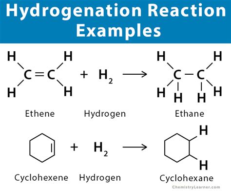 Hydrogenation Definition Examples And Applications