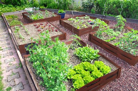 Carré potager en plessis dAcier Corten Garten Gartenbeet gestalten Gartengestaltung ideen