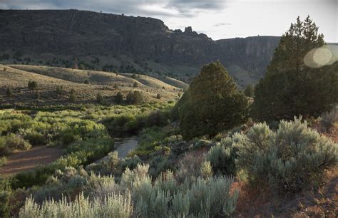 North Fork Owyhee Wild And Scenic River Sunset View Of The N Flickr