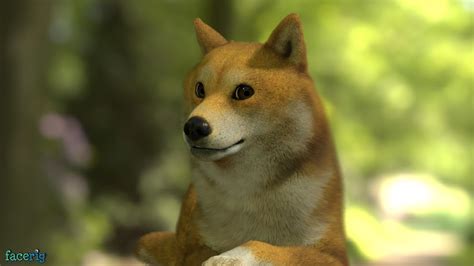 Changes in the value of 1080 dogecoin in us dollar. much pose very facerig wow : dogecoin