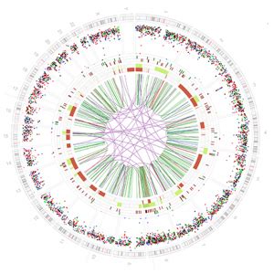 The bioinformatician from the department of medical genetics and the mrc cancer unit at the university of cambridge received. The New Landscape of Breast Cancer Mutations | Research ...