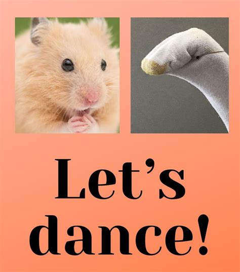 Hamster Dance 1 Hamster Dance Lets Dance