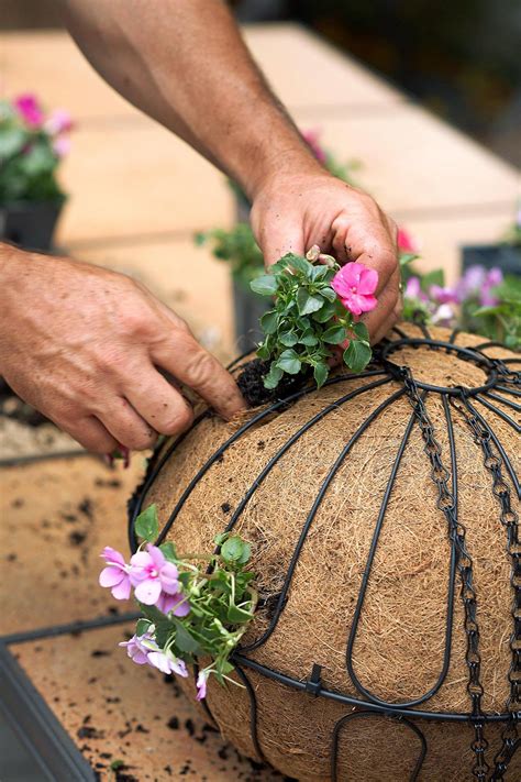 create a stunning spherical hanging basket in just 20 minutes—here s how hanging flower