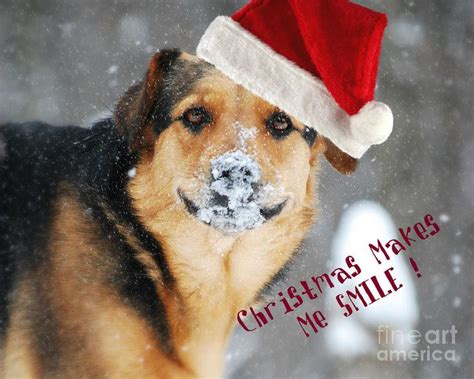 An All Dogs Christmas Carol Or All Dogs Go To Heaven 3 By Some Of The