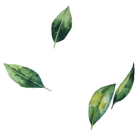 If you like, you can download pictures in icon format or directly in png image format. Falling Leaves Sticker by Lloyd's Inn for iOS & Android | GIPHY