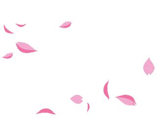 Flores encontradas en la web. Falling rose petals gif 2 » GIF Images Download