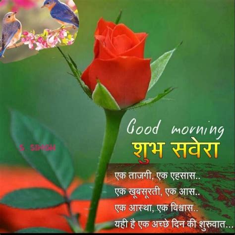 Pin By Dinesh Kumar Pandey On Su Prabhat Good Morning Flowers Rose Good Morning Flowers Good