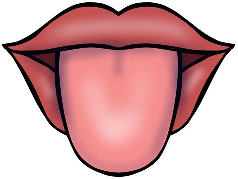 Ejercicios Bucofaciales Para Mejorar El Desarrollo Del Lenguaje Oral