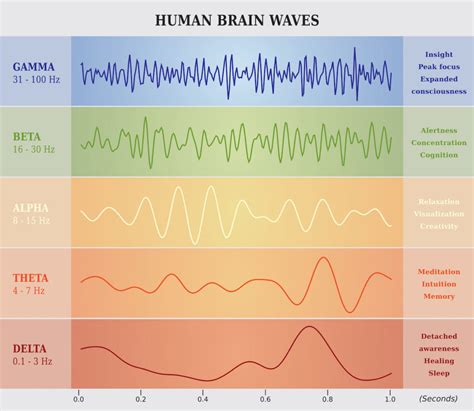 What Are Brainwaves And How Can You Alter Them St Louis Neurotherapy