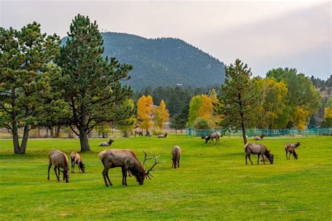 18 Best Things To Do In Estes Park Co Our Escape Clause