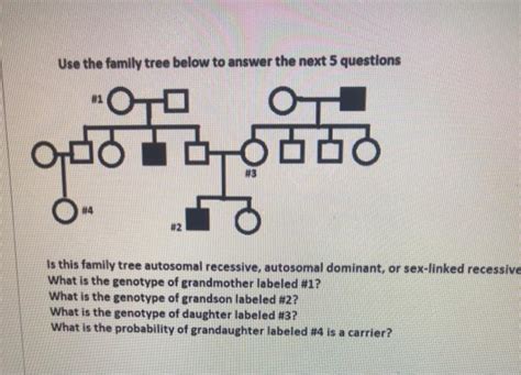 Solved Use The Family Tree Below To Answer The Next Chegg Com
