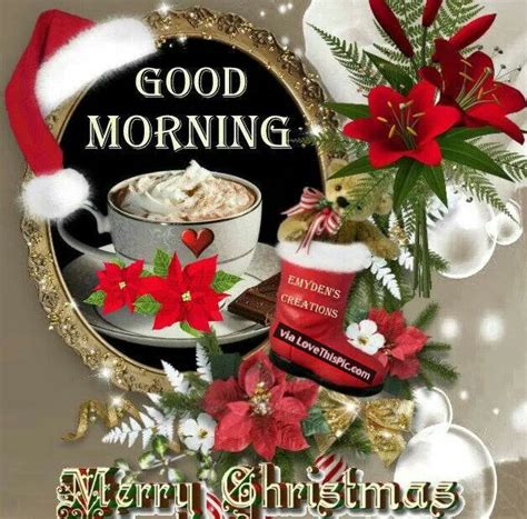 Good Morning Merry Christmas Pictures Photos And Images For Facebook