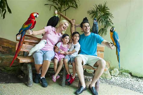 Taman burung seberang jaya, jalan todak, seberang jaya, 13700, perai, pulau pinang, 13700, malaysia, penang hill penang bird park timing: KL Bird Park Tickets + One Way Transfer Price 2021 ...
