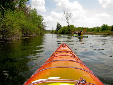 Southeast Michigan Kayaking Huron River Paddle River Kayaking