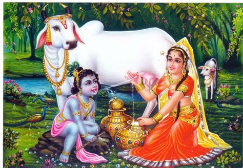 Lord Baby Krishna With Cow Images All About Cow Photos