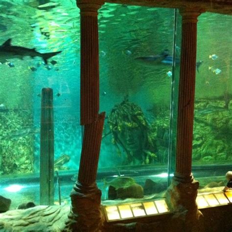 Sea Life Centre Aquarium