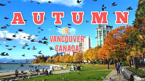 Autumn Foliage Fall Colors Vancouver Canada Youtube