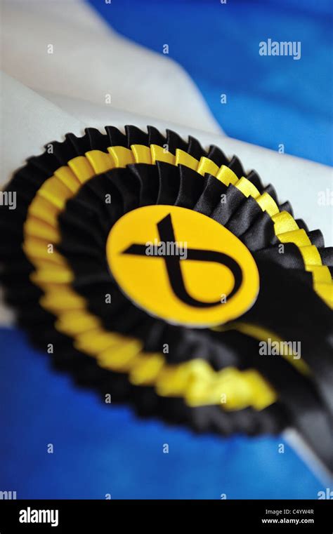 An Snp Election Rosette Sits On Top Of A Scottish Saltire Flag Stock