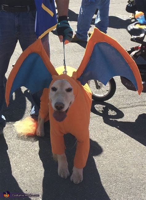 Pokemon Costumes For Dogs