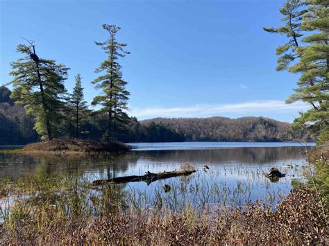 Limberlost Hiking Trails Buck Lake To Poverty Lake Finding Your Muskoka