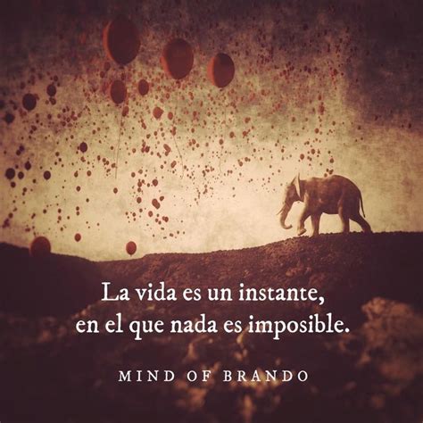 La Vida Es Un Instante En El Que Nada Es Imposible Vida Reflexion