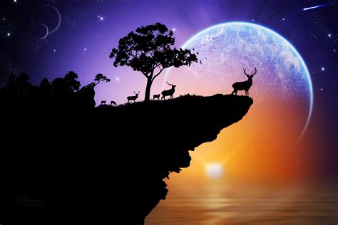 Space Fantasy Animals Landscapes Planets Sunset Beauty Imaginations