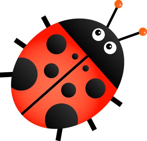Download High Quality Ladybug Clipart Transparent Background