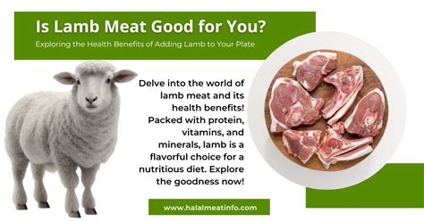 Is Lamb Meat Good For You A Guide To Health Benefits
