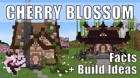 Minecraft Cherry Blossom Build Ideas All About Cherry Blossom