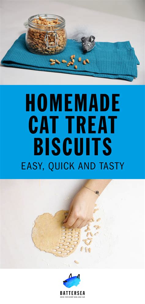 Homemade Cat Treats Cat Treats Homemade Homemade Cat Treats Recipes Diy Cat Treats