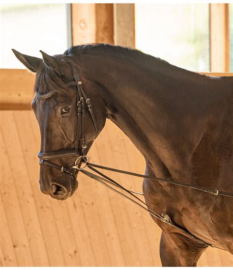 Running Side Reins Easy Fit Ii Showmaster Lungeing And Horse Groundwork