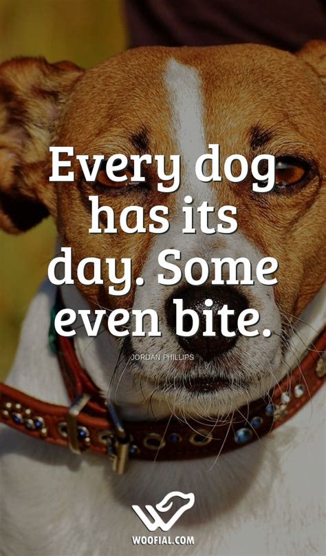Every Dog Has Its Day Quotes Thelma Wolfe