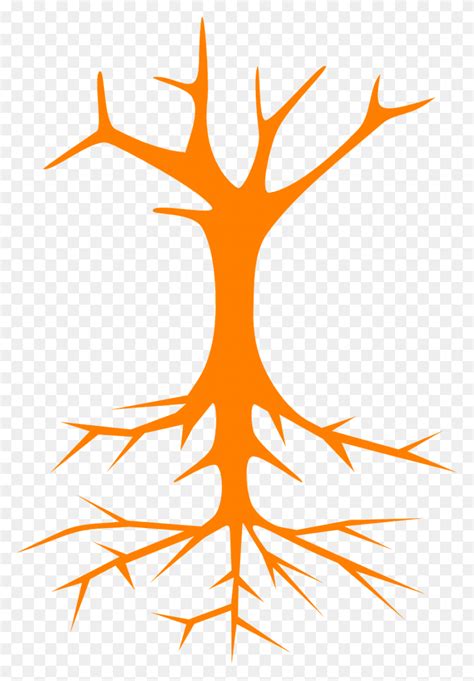 Tree Roots Stem Branches Naked Image Green Tree Vector Root Plant