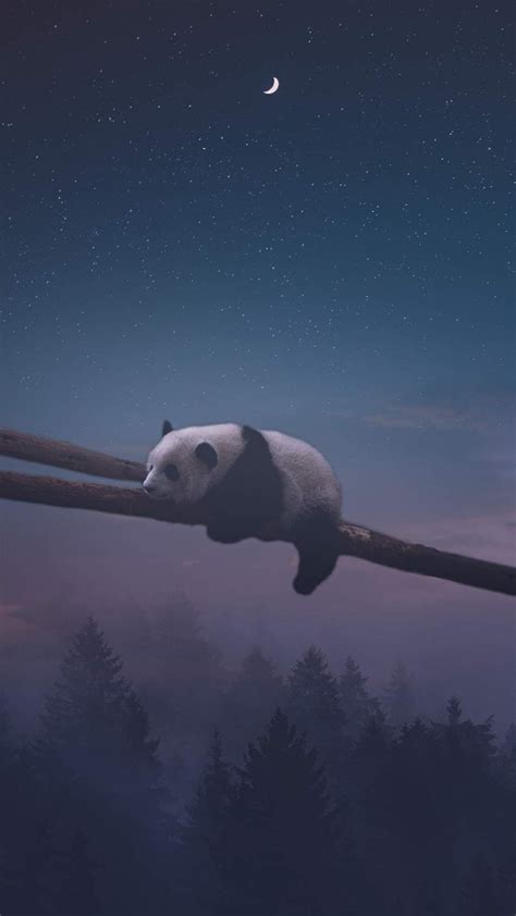 Sleeping Panda Iphone Wallpaper Sleeping Panda Panda Wallpapers