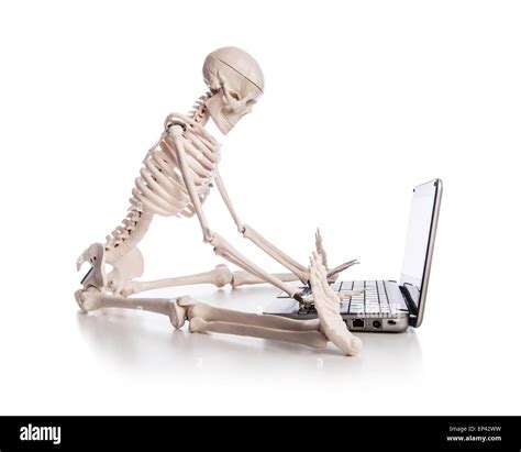 Skeleton Working On Laptop Stock Photo Alamy