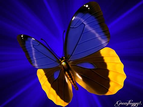 Blue And Yellow Butterfly On Blue Blue Yellow Creation Butterfly