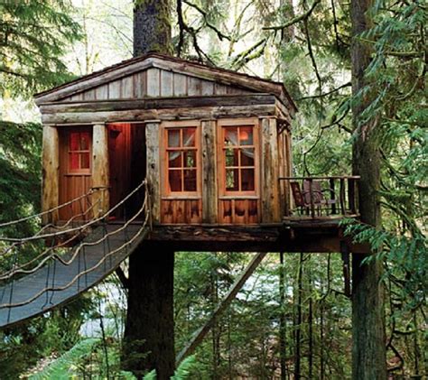 Top 20 Beautiful And Amazing Tree House Wallpaperspics