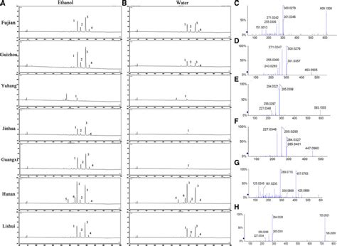 Hplc Elution Profiles And Ms Ms Information About Flavonoids In Rte