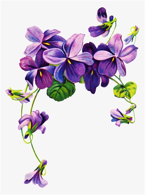 Download African Violets Border Clip Art Purple Flower Border Png