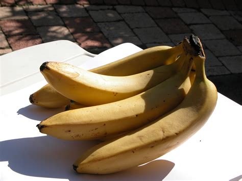 Imageafter Images Banana Bananas Bunch Of Yellow Fruits Exotic