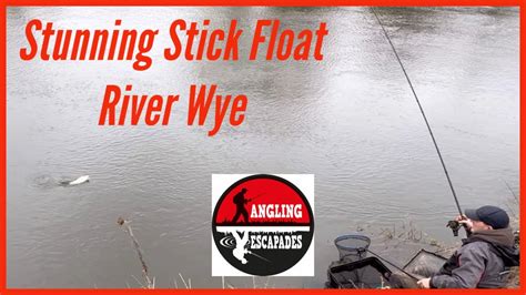 Stunning Stick Float Fishing For Roach On The River Wye Youtube